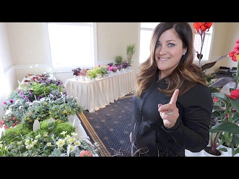 Presentation Prep + Four Star Greenhouse Tour