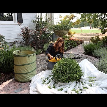 How We Maintain the Garden by Using Zones! Monday Zone!