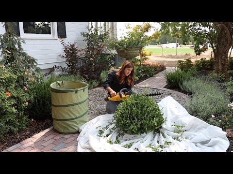 How We Maintain the Garden by Using Zones! Monday Zone!
