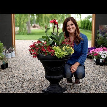 Container Inspiration