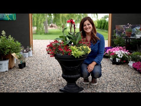 Container Inspiration