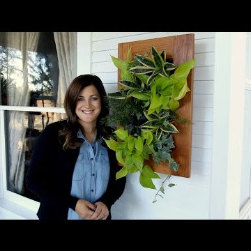 Vertical Houseplant Arrangement