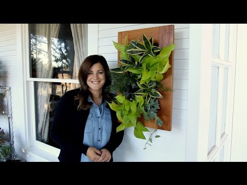 Vertical Houseplant Arrangement