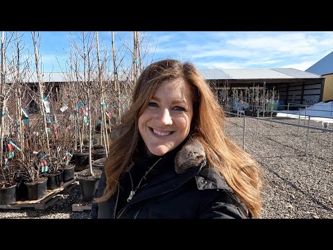 Helping Unload a Huge Load of Trees at the Garden Center!