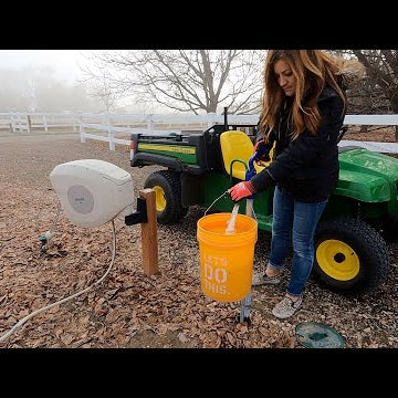How & What I Water in Winter + Container Cleanup and Perennial Planting!