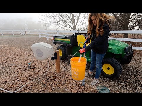 How & What I Water in Winter + Container Cleanup and Perennial Planting!