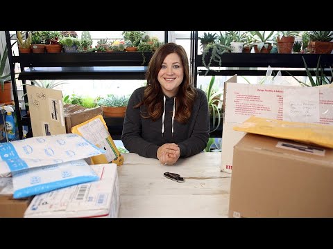 Mail Time!