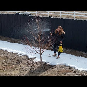 Spraying Fruit Trees & Planting Peppers!