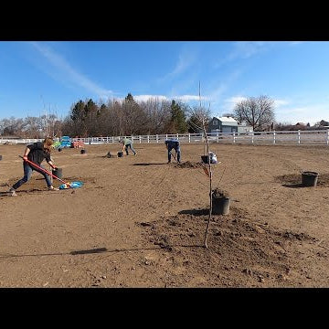We Planted an Orchard!