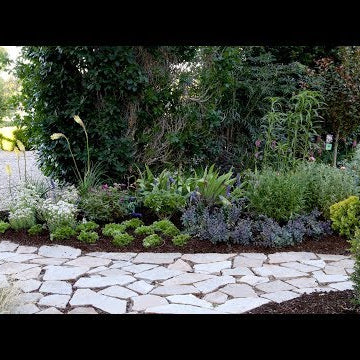Revamping One of My Flowerbeds