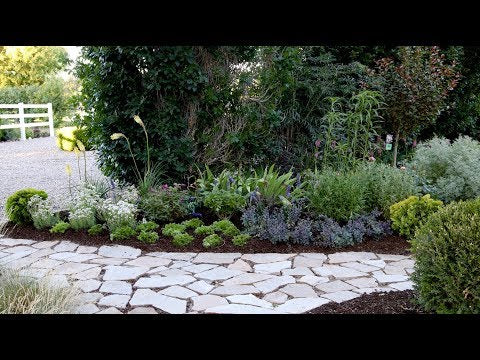 Revamping One of My Flowerbeds