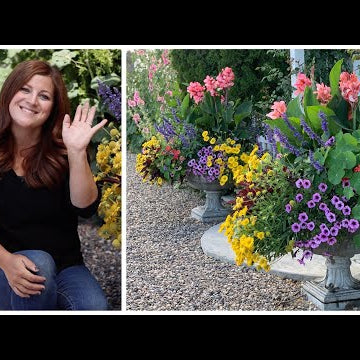10 Tips on How to Have Success with Your Sun-Loving Annual Containers!