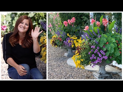 10 Tips on How to Have Success with Your Sun-Loving Annual Containers!