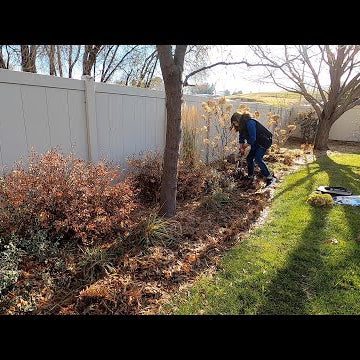 Planting Daffodils in Both of Our Parent’s Gardens + Alliums in Galvanized Troughs!
