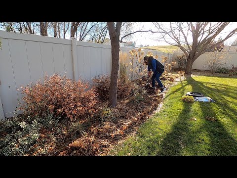 Planting Daffodils in Both of Our Parent’s Gardens + Alliums in Galvanized Troughs!