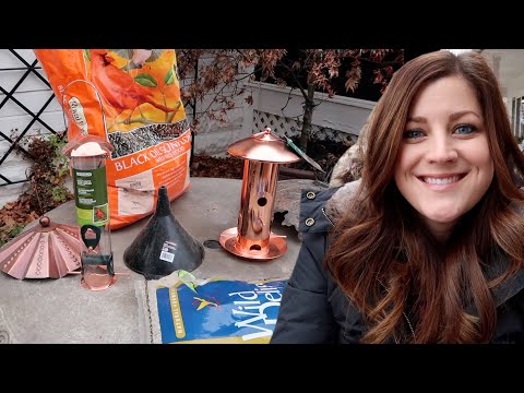 Setting Up Bird Feeders & Planting Bulbs in Containers!