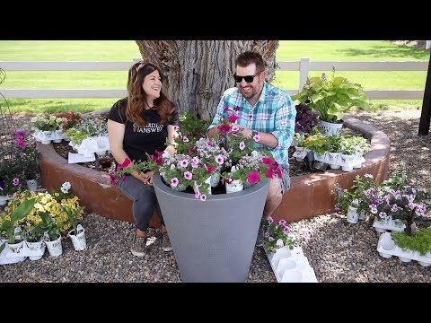 Epic Container Competition: Aaron vs. Laura!