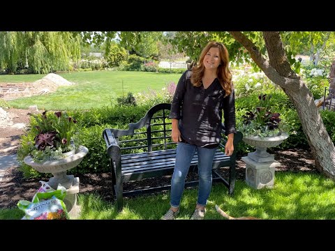 Packing Plants into These Urns! Laura Style! + Greenhouse Update!