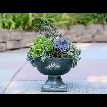 Succulent Inspiration #1
