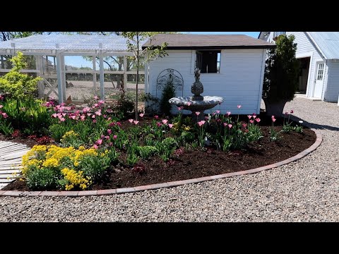 Edging a Flower Bed w/ Bricks and Planting a Maple Tree!