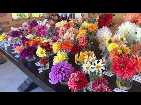 2022 Dahlia Tour!
