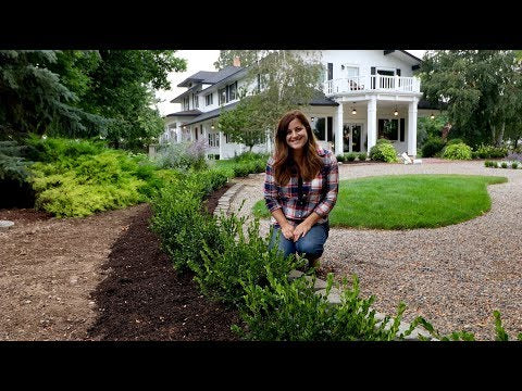 The Mulch I Use + Versailles Update