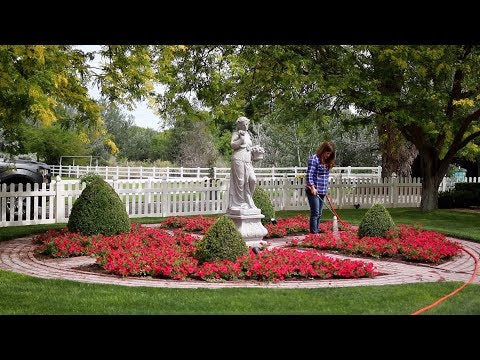 How & What I Use to Fertilize Our Annuals!