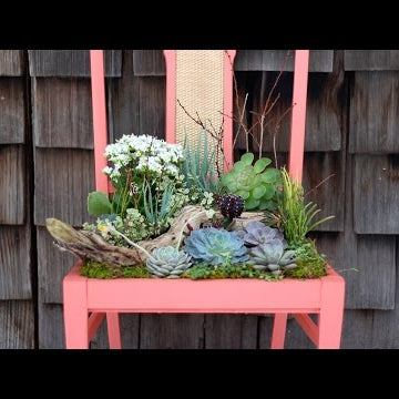 DIY Succulent Chair Planter