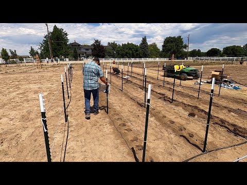 Finally Planting Dahlias!