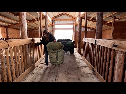 Cleaning Up the New Barn & Adding Potted Blue Spruce Trees!