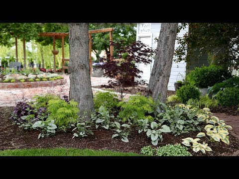 Beautiful Foliage Plants for Part Shade! ️