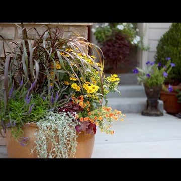 How to Create a Beautiful Fall Container