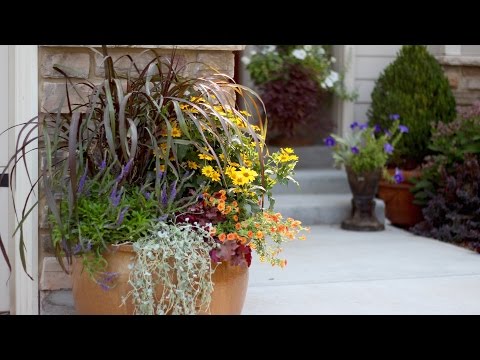 How to Create a Beautiful Fall Container
