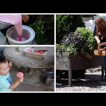 Harvesting Strawberries & Making Ice Cream!