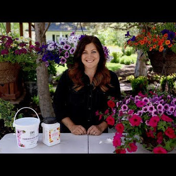 Hanging Baskets Part 3: Care Guide