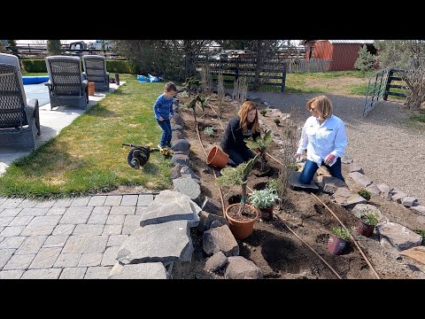 Helping My Mom Plant a Butterfly Garden!