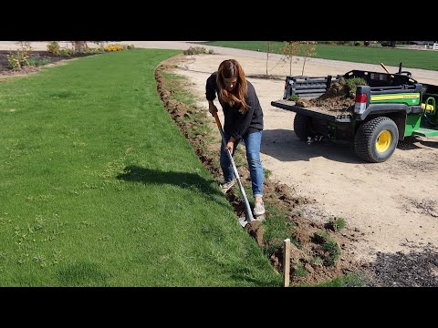 Edging the Grass Pathway to the Cut Flower Garden!