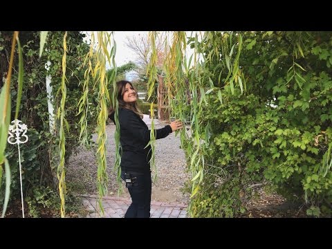 Garden Tour Part 4