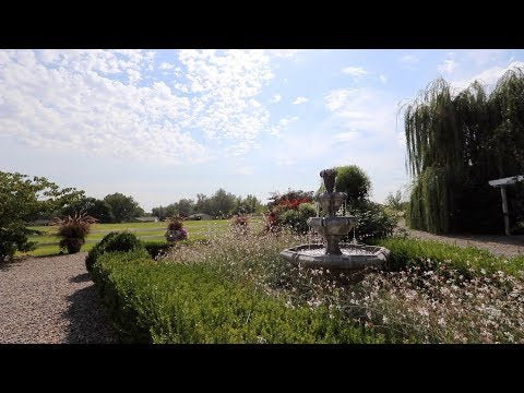 Fountain Maintenance