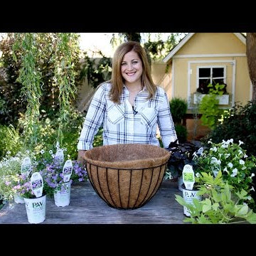 How Many Plants for a Hanging Basket?