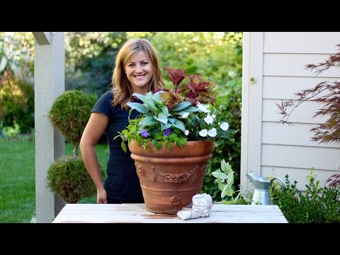 Simple Shade Planter