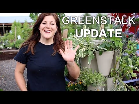 GreenStalk Update + Container Unboxing