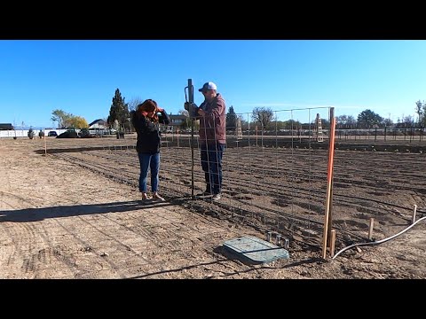 Setting Up Our Sweet Pea Trellising!
