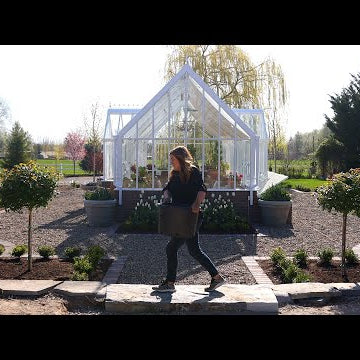 Planting Spectacular Rose Trees, Raspberries & Perennial Campanulas!