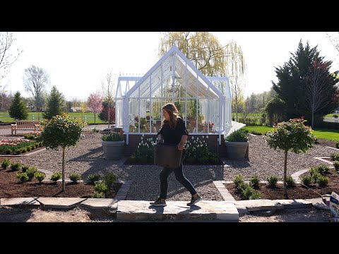 Planting Spectacular Rose Trees, Raspberries & Perennial Campanulas!