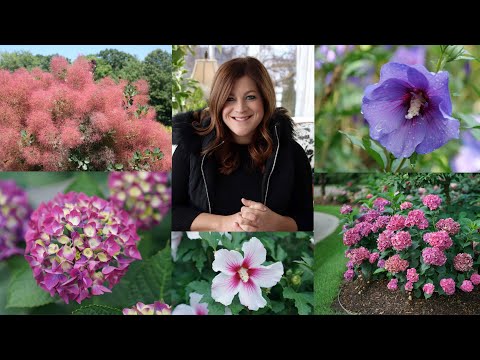 New Shrubs for 2021! (Part 1)