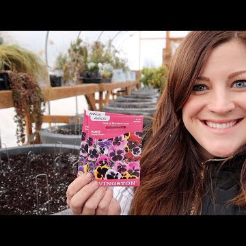 Planting Pansy Seeds!