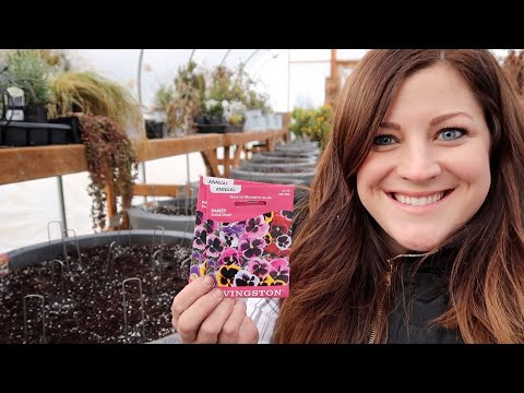 Planting Pansy Seeds!