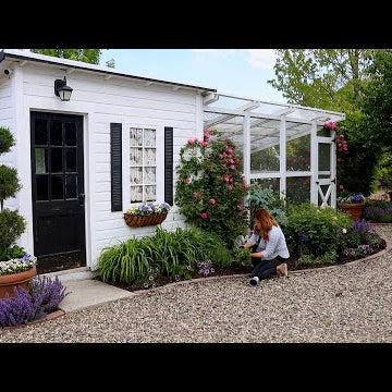 Trimming Boxwoods + Planting a Kitchen Window Box & Chicken Coop Flower Bed!