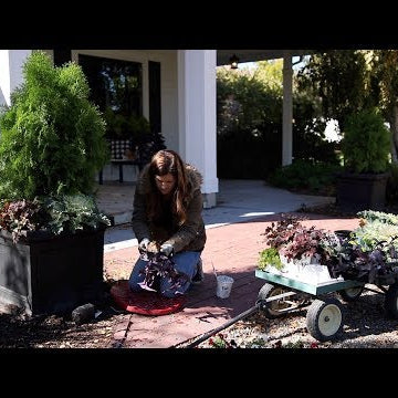 Container Refresh and Other Random Projects!